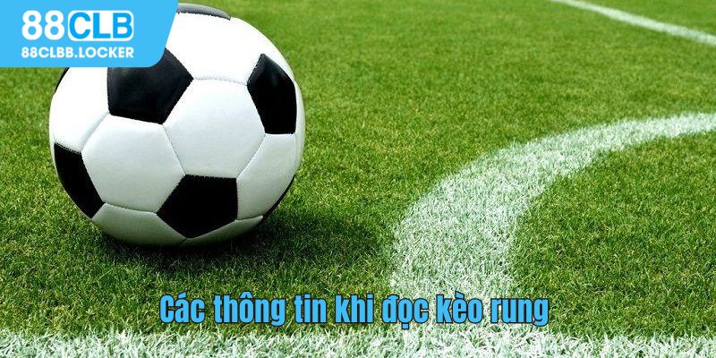 Các thông tin khi đọc kèo rung ở nhà cái HB88