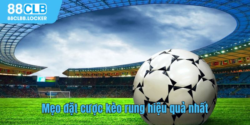 Mẹo đặt cược kèo rung hiệu quả nhất